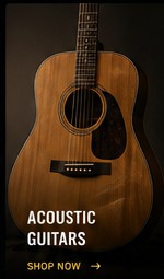Acoustic guitar