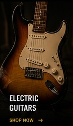 Electric guitar